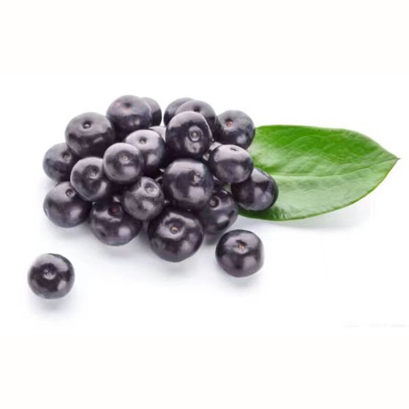 Acai Berry Extract Powder Manufacturer - Natural Organic Pure Fruit Juice