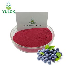 Blueberry Juice Powder Manufacturer - Wholesale 100% Water Soluble Wild Fruit Extract