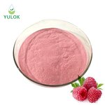 Raspberry Fruit Juice Powder Manufacturer - Factory Supply 100% Water Soluble Natural for Beverages