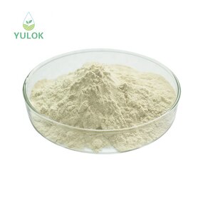 Vitamin D3 Powder Manufacturer - High Quality Multipurpose Pure Natural Organic