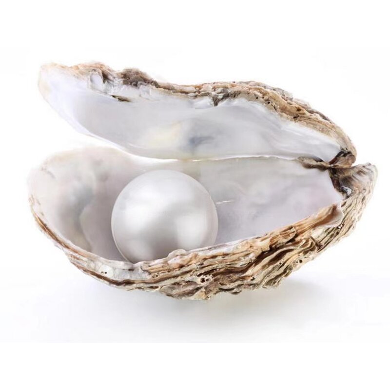 Pearl Powder Manufacturer - Wholesale Bulk 100% Natural Water-soluble Food Grade