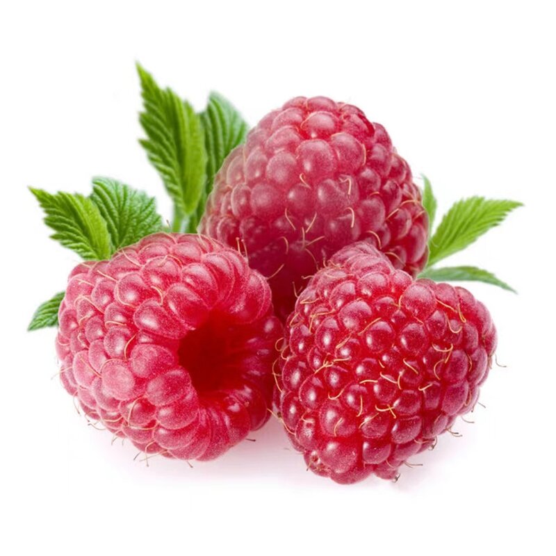 Raspberry Fruit Juice Powder Manufacturer - Factory Supply 100% Water Soluble Natural for Beverages