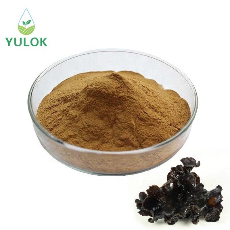 Black Fungus Extract Powder Manufacturer - 10%-50% Polysaccharide Auricularia Auricula