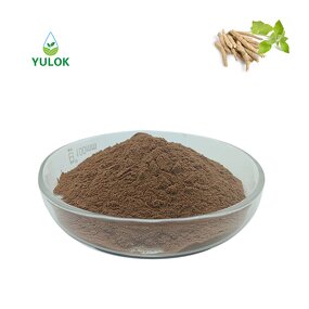 Ashwagandha Root Extract Powder Manufacturer - 1% -10% Withanolides Withania Somnifera