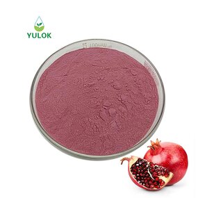 Pomegranate Fruit Juice Powder Manufacturer - Factory Supply Organic Extract