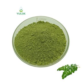 Moringa Extract Powder Manufacturer - Wholesale 100% Water Soluble Pure Natural Organic
