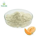 Cantaloupe Extract Powder Manufacturer - 100% Natural Best Sellers Food Grade Hami Melon