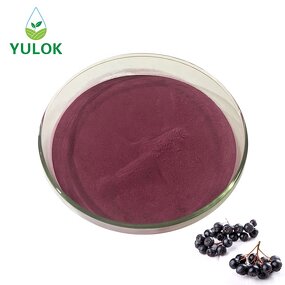 Aronia Fruit Powder Extract Manufacturer - Manufacturer Supply 100% Natural Food Additive Organic