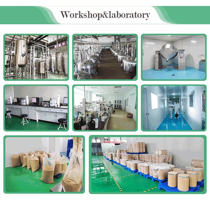 Kojic Acid Powder Manufacturer - Free Sample Bulk Cosmetic Grade CAS 501-30-4