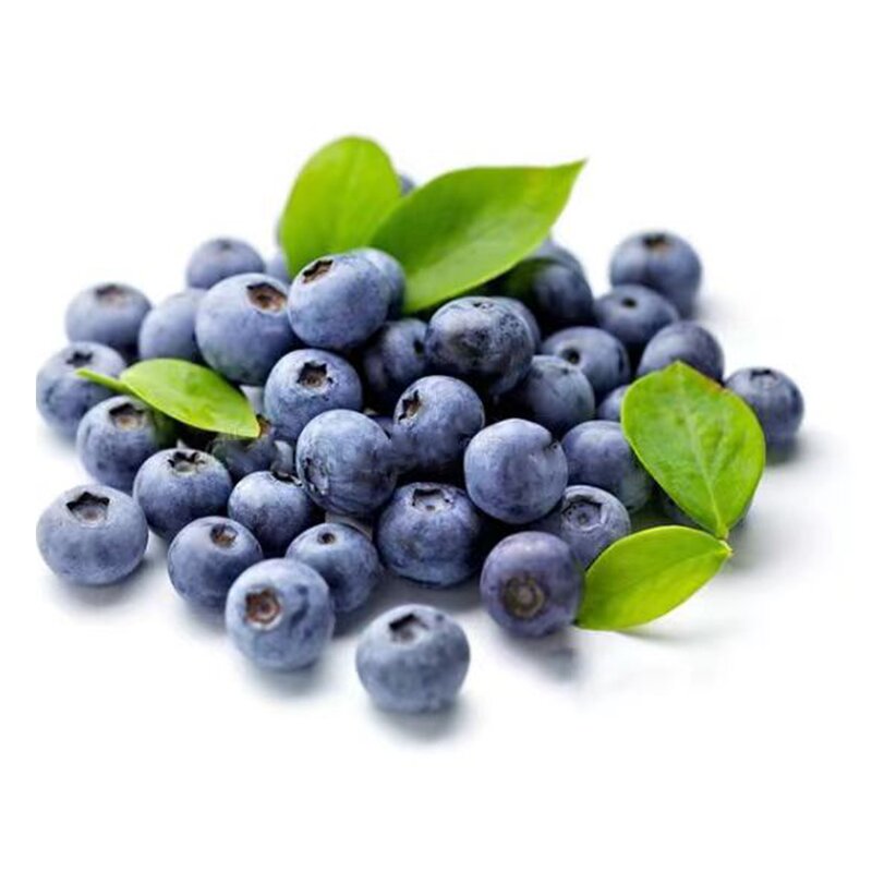 Blueberry Juice Powder Manufacturer - Wholesale 100% Water Soluble Wild Fruit Extract
