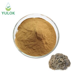Turkey Tail Mushroom Extract Powder Manufacturer - 10%-50% Polysaccharide Coriolus Versicolor