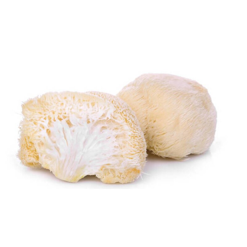 Lion's Mane Mushroom Extract Manufacturer - 100% Pure Hericium Erinaceus Powder