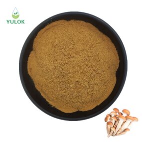 Agrocybe Aegerita Extract Powder Manufacturer - Factory Direct Sales Food Grade Pure Natural
