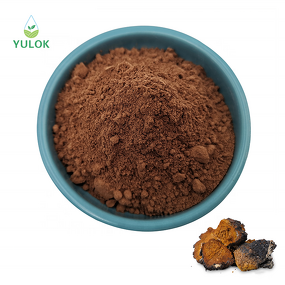 Chaga Extract Powder Manufacturer - Low Price Pure Natural Plant Extracts