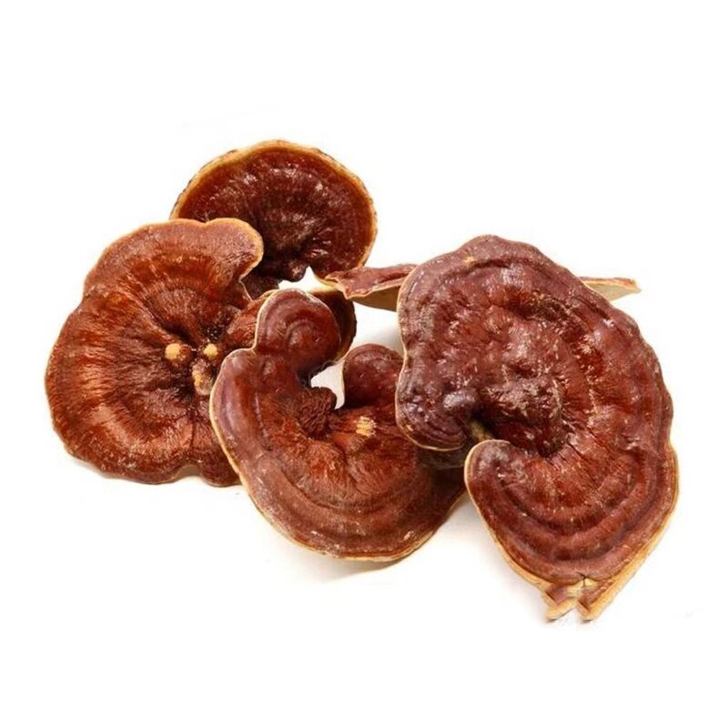 Reishi Mushroom Extract Capsules Manufacturer - Organic 10%-30% Polysaccharide Beta Glucan