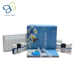 ELISA Kit Manufacturer - Bovine Follistatin FS Growth Factor Inhibitor