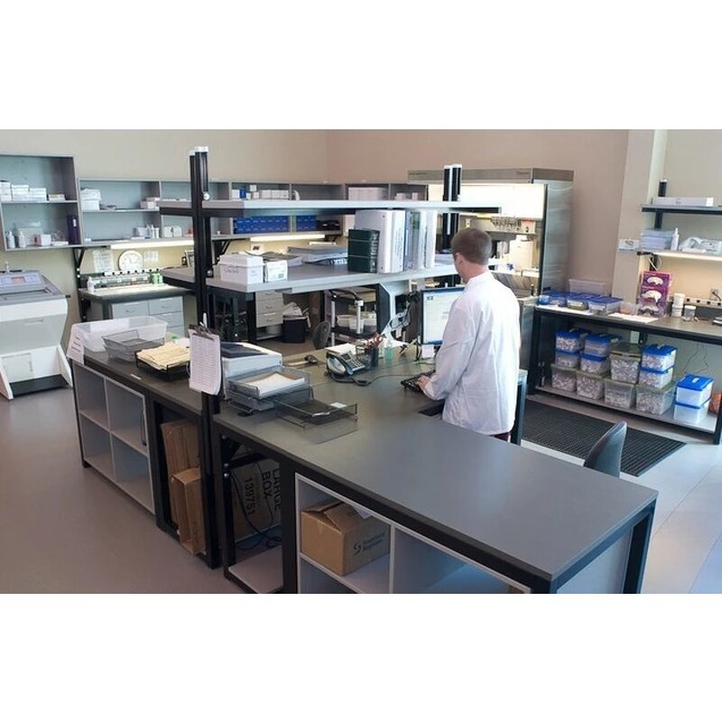 ELISA Kit Manufacturer - Rat Complement 4 C4 Immune System Marker