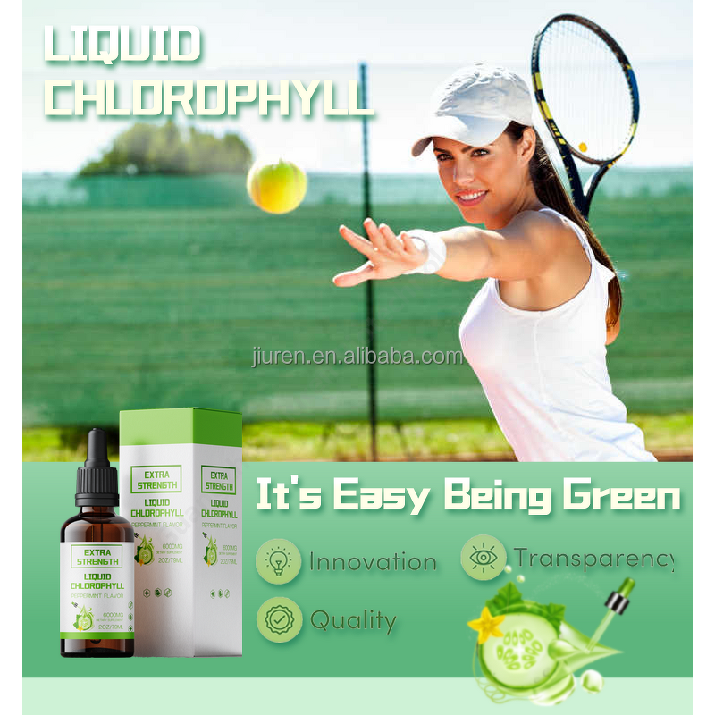 Chlorophyll Drops Manufacturer - Halal Vegan for Intestinal Health Digestion Support