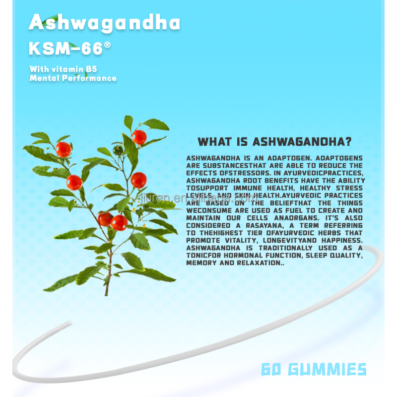 Vitamin B5 Gummies Manufacturer - Vegetarian for Metabolism Energy Healing OEM ODM