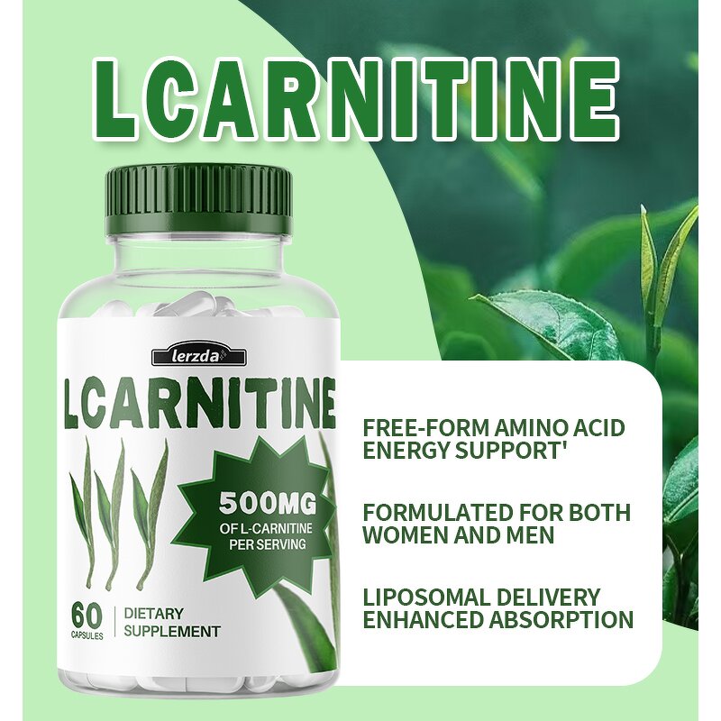 L-Carnitine Supplement Manufacturer - High Potency for Energy & Memory Focus