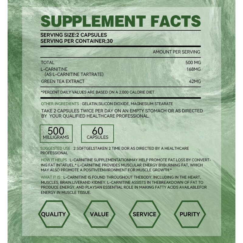 L-Carnitine Supplement Manufacturer - High Potency for Energy & Memory Focus