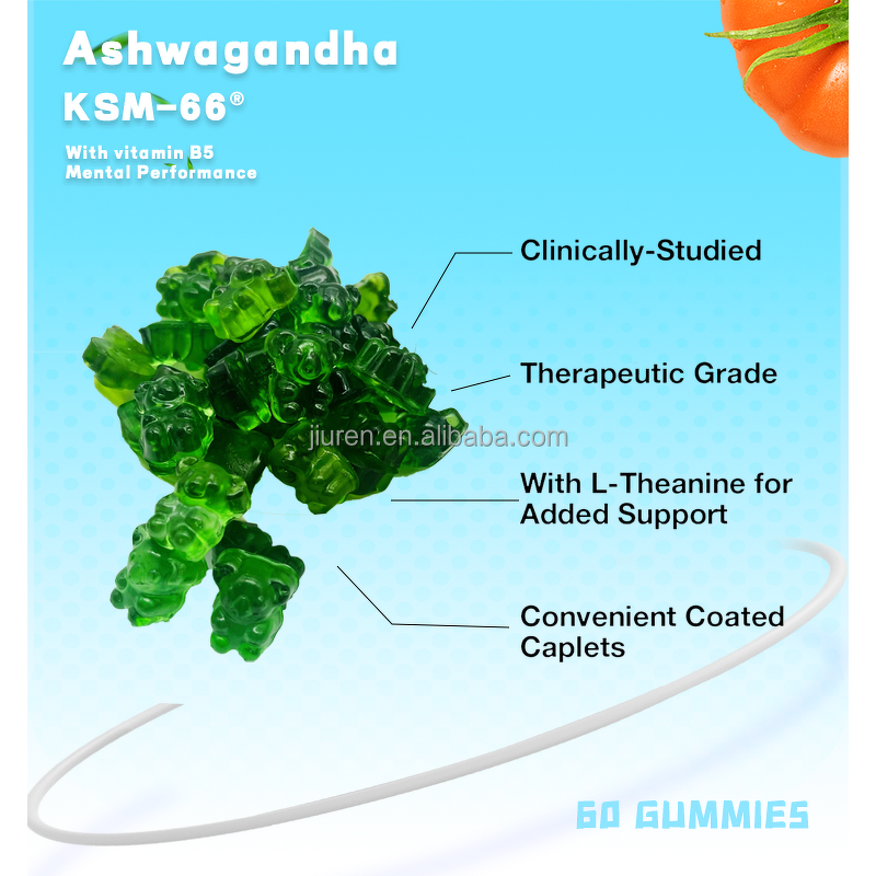 Vitamin B5 Gummies Manufacturer - Vegetarian for Metabolism Energy Healing OEM ODM