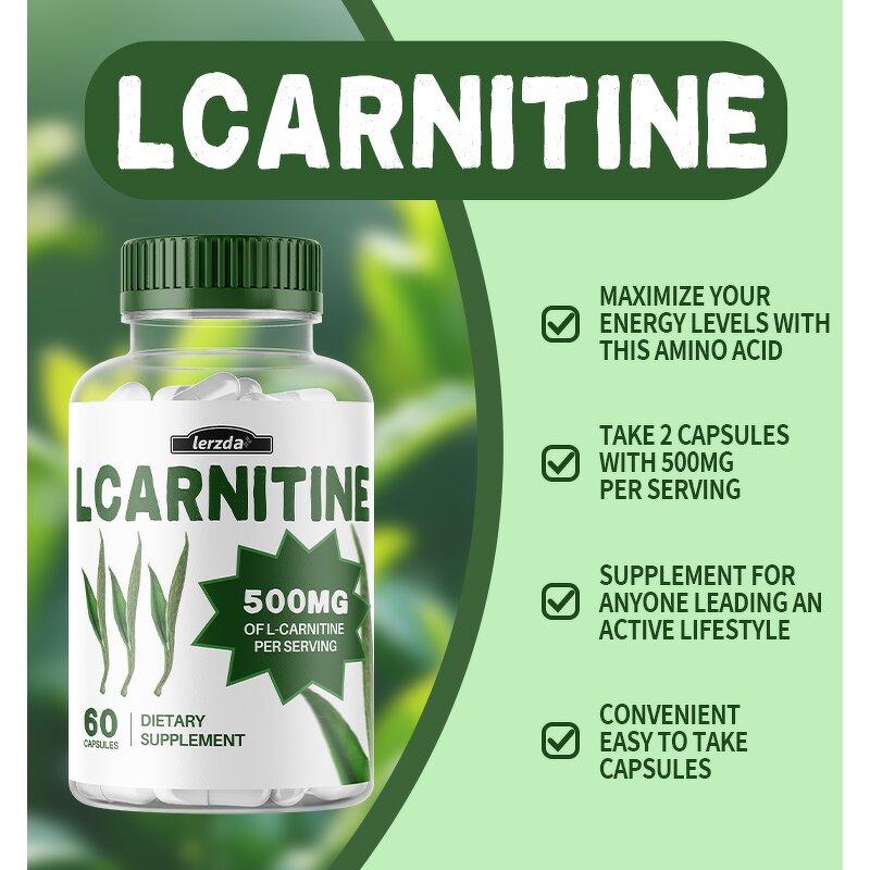L-Carnitine Supplement Manufacturer - High Potency for Energy & Memory Focus