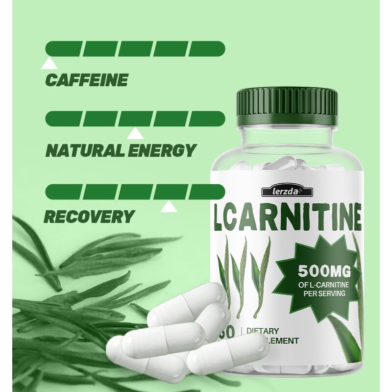 L-Carnitine Supplement Manufacturer - High Potency for Energy & Memory Focus