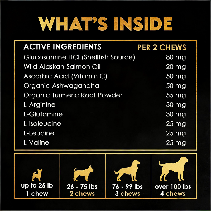 Dog Muscle Building Soft Chews Manufacturer - Bone Strengthening Joint Nutrition Weight Gain