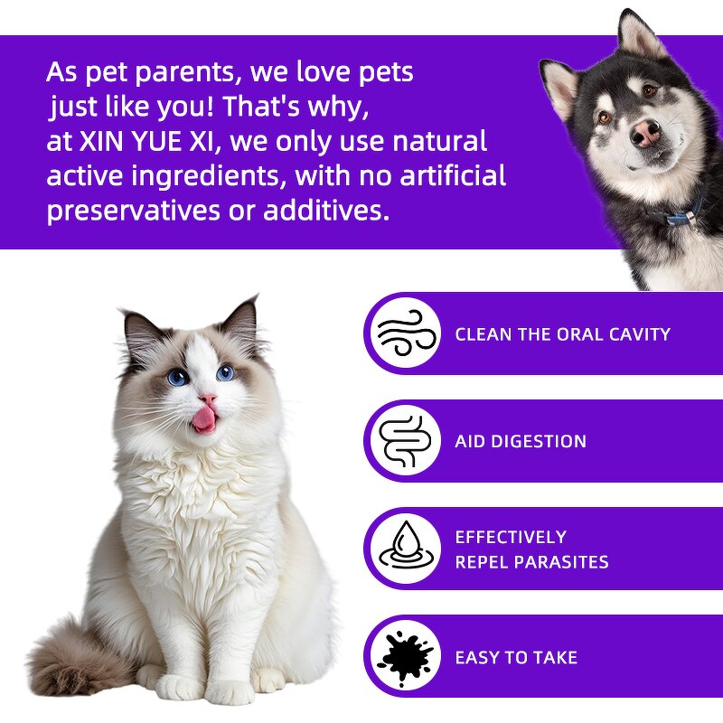 Pet Oral Deworming Liquid Manufacturer - Herbal for Dog Cat Skin Coat Flea Removal Safe
