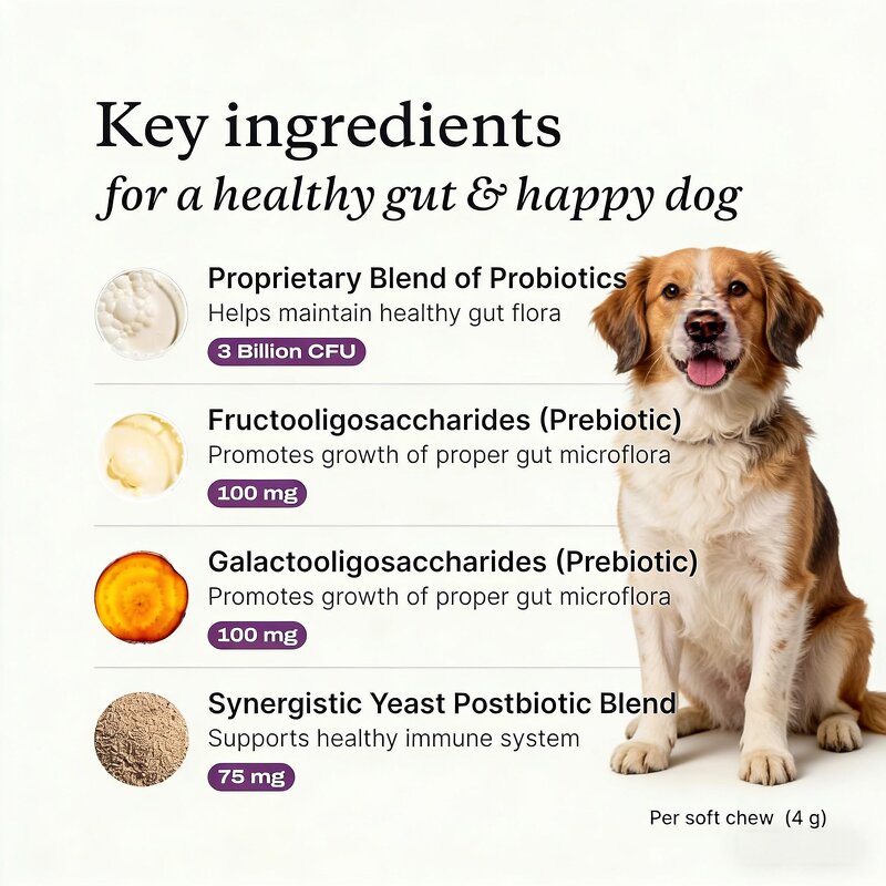 Pet Probiotic Soft Chews Manufacturer - Lecithin for Cat Dog Intestinal Digestive Health