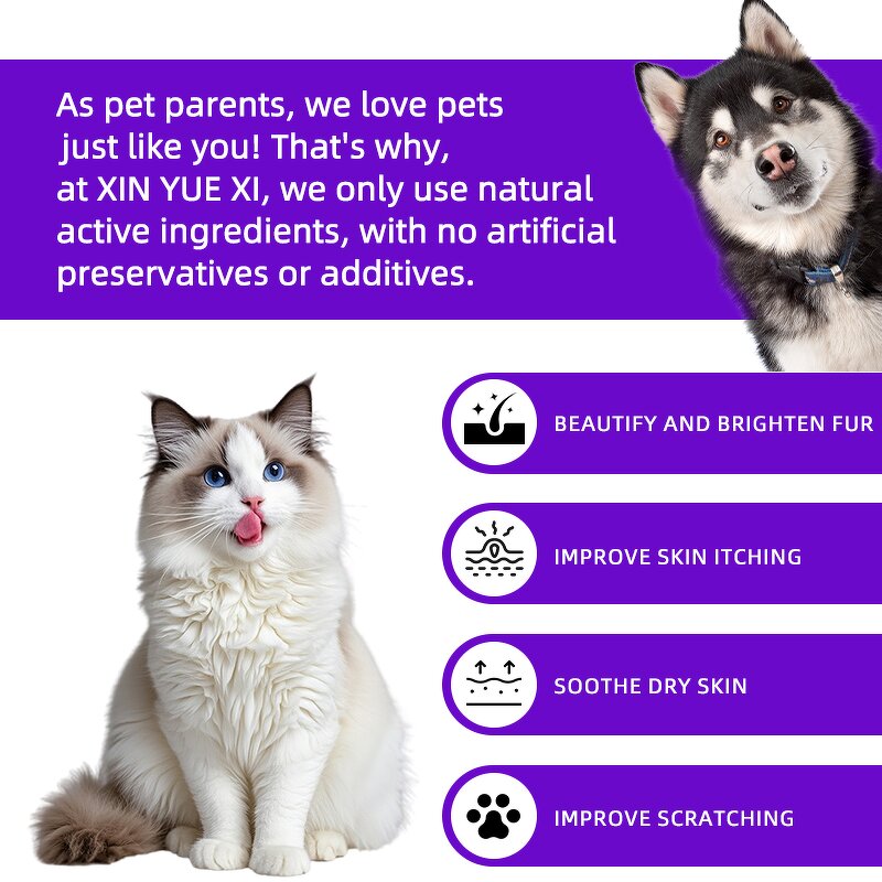 Pet Skin Coat Soft Chews Manufacturer - OEM Salmon Flavour Fast Absorption Health Care