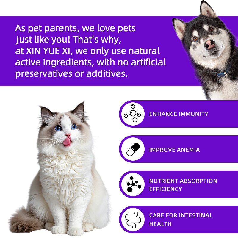 Pet Probiotic Supplement Manufacturer - Bacillus Subtilis Saccharomyces for Cat Dog Health