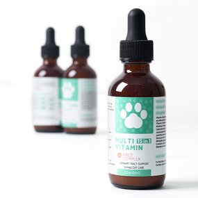 Pet Multivitamin Liquid Manufacturer - 15 in 1 Natural for Dog Cat Immune System Support