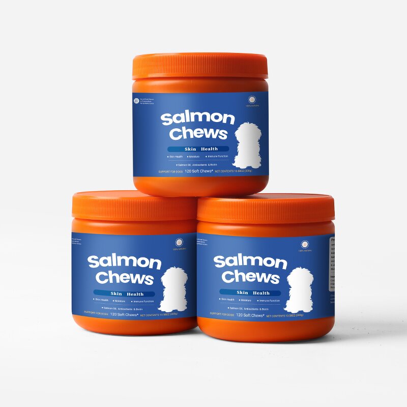 Pet Skin Coat Soft Chews Manufacturer - OEM Salmon Flavour Fast Absorption Health Care