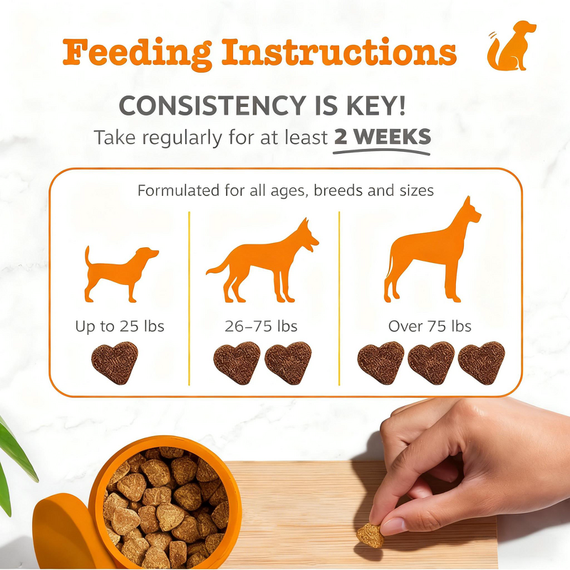 Dog Probiotics Soft Chews Manufacturer - Lecithin for Digestive Immune Gastrointestinal Health