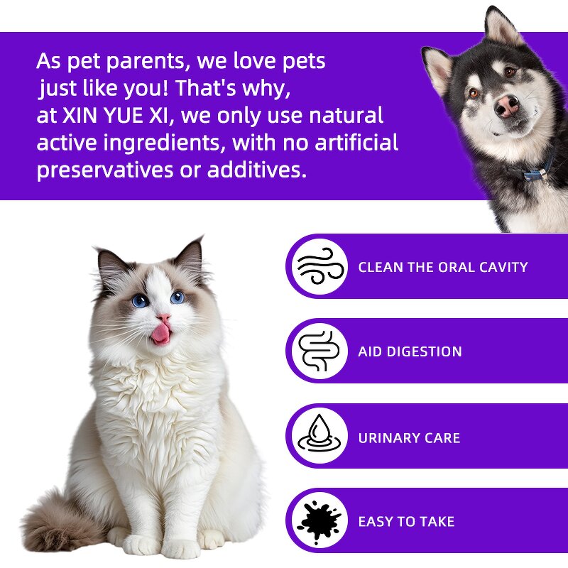 Pet Urinary Care Liquid Manufacturer - Fast Absorption for Dog Cat Urinary Tract Health