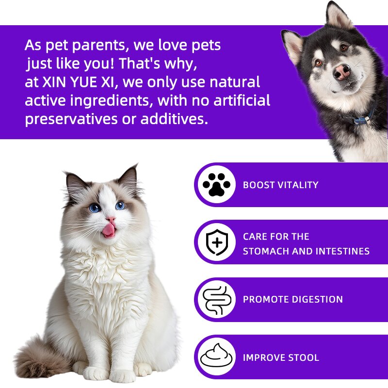 Pet Anti-Vomiting Drops Manufacturer - 30ml Probiotics for Cat Dog Sensitive Stomach Health