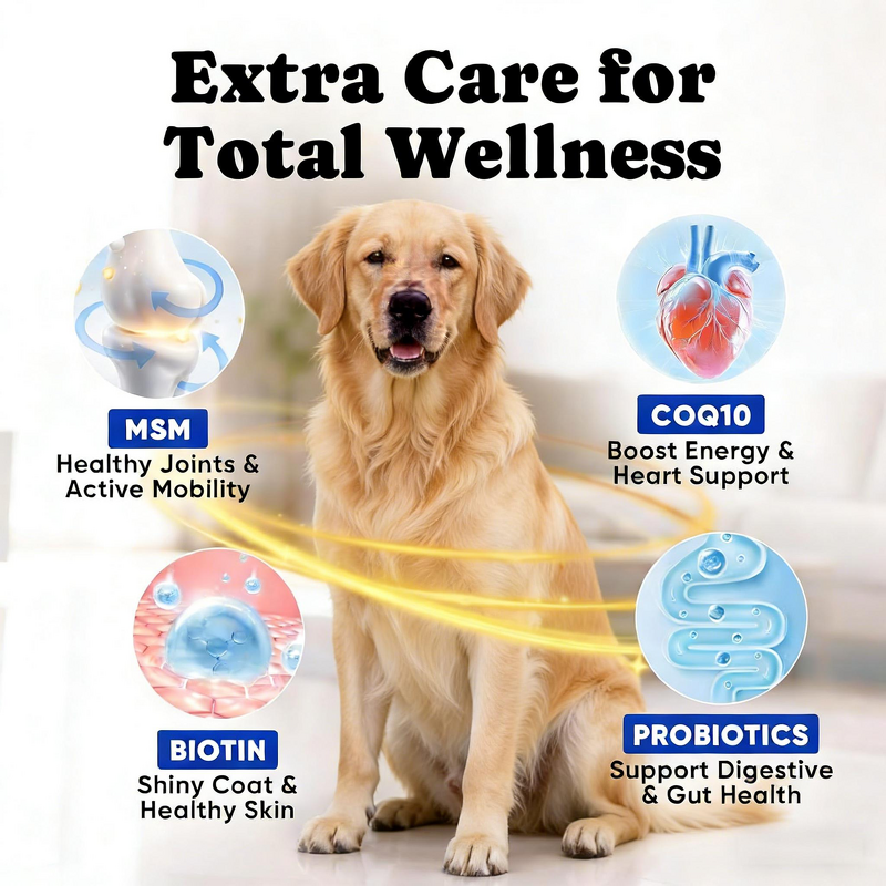 Pet Lecithin Soft Chews Manufacturer - Beauty Hair Skin Care All Breeds Immune Support