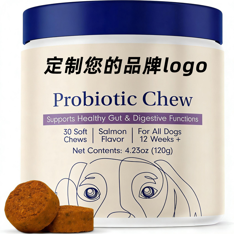 Pet Probiotic Soft Chews Manufacturer - Lecithin for Cat Dog Intestinal Digestive Health
