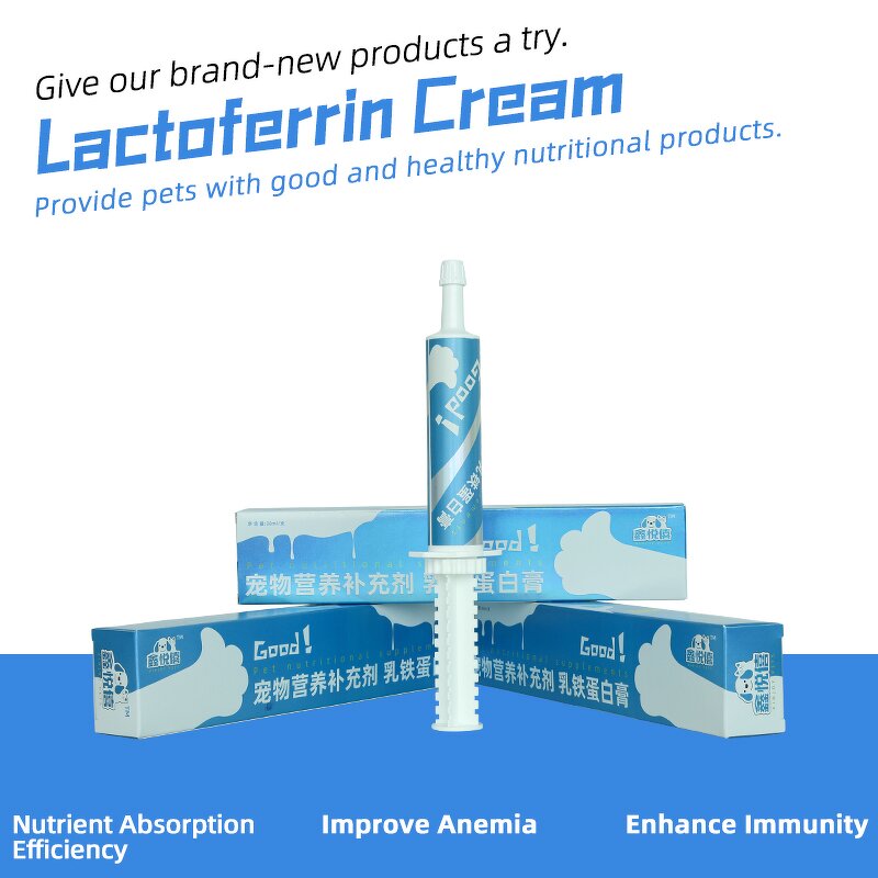 Pet Ginseng Extract Manufacturer - Astragalus for Iron Absorption Diarrhea Gut Flora Support