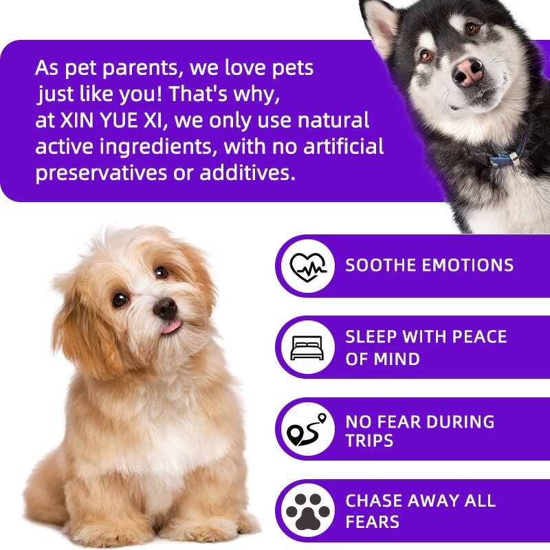 Dog Calming Granules Manufacturer - Organic Chamomile Anxiety Sleep Relief OEM Vitamins