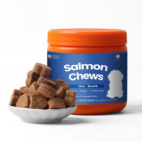 Pet Skin Coat Soft Chews Manufacturer - OEM Salmon Flavour Fast Absorption Health Care