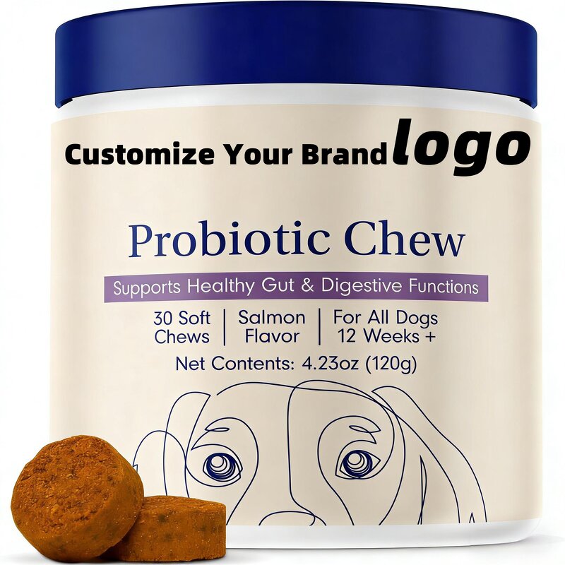 Pet Probiotic Soft Chews Manufacturer - Lecithin for Cat Dog Intestinal Digestive Health