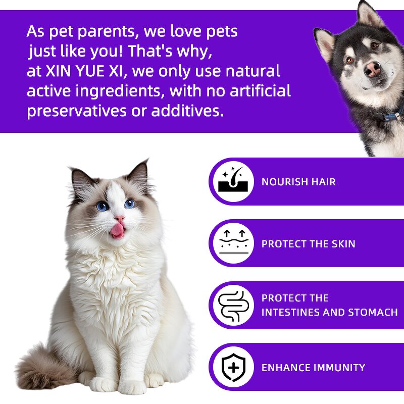 Pet Fish Oil Soft Chews Manufacturer - OEM for Cat Dog Allergy Itching Relief Skin Health
