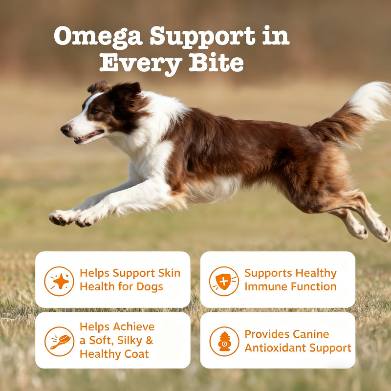 Pet Skin Care Soft Chews Manufacturer - 90-count Jar for Skin Coat Health Improvement