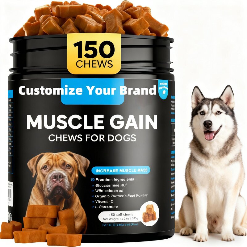 Dog Muscle Building Soft Chews Manufacturer - Bone Strengthening Joint Nutrition Weight Gain