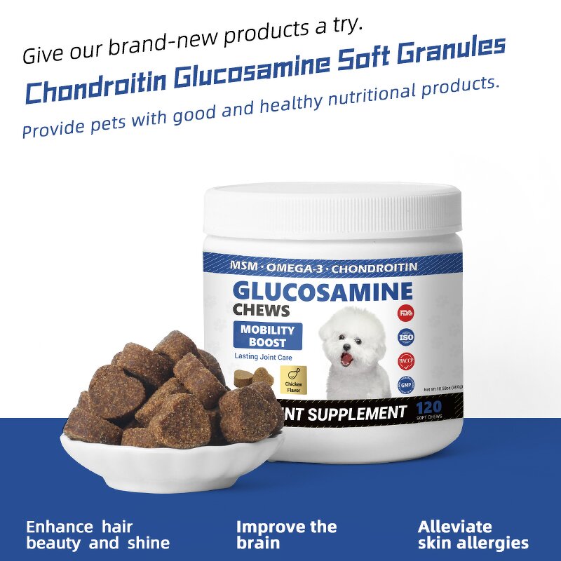 Pet Joint Care Granules Manufacturer - Glucosamine Chondroitin Omega3 MSM 120/300g