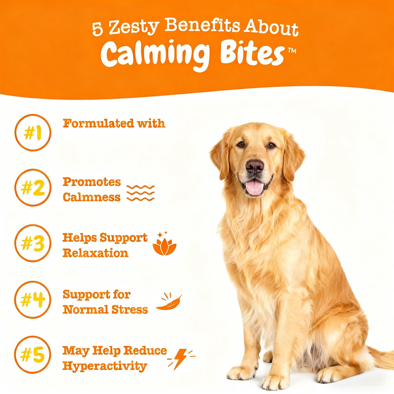 Pet Calming Soft Chews Manufacturer - High Active for Intestinal Health All Ages Jar