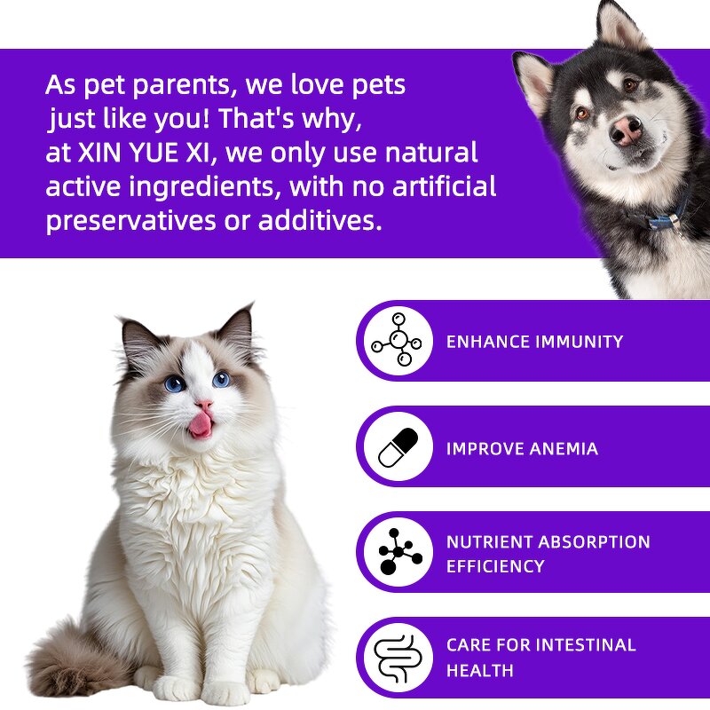 Pet Ginseng Paste Manufacturer - Astragalus for Iron Absorption Anemia Relief Digestive Health